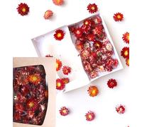 Cabezas de flores secas de paja Helichrysum - Flores secas duraderas para decoración y manualidades | Variantes de color | Caja de regalo con ventana - Decoración para coronas, velas y decoración de