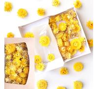 Cabezas secas de flores de paja Helichrysum - Flores secas duraderas para decoración y manualidades | Variantes de color | Caja de regalo con ventana - Decoración para coronas, velas y decoración de