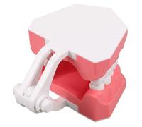 Cabilock 1 de Plástico para Higiene Bucal Modelo de Boca Cepillada de Dientes para Estudio y Formación Docente en Clínicas y Escuelas