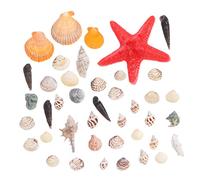 Cabilock 1 Juego Conchas Naturales decoración Fiesta decoración Marinera Decoraciones Junto al mar Conchas Marinas Naturales Acuario Conchas de Playa Concha y Caracol de mar caparazón
