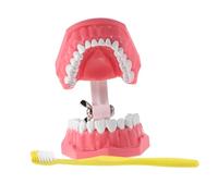 Cabilock 1 Juego de Enseñanza Oral para Cepillo de Dientes Práctica para Técnicas de Cepillado Escuelas y para Cuidado Infantil