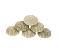 Cabilock 2 Series Macetas Decorativas De Marinas Plantas Aire Erizo Decoración Hogar Y Oficina 6 Piezas X 2