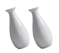 Cabilock 2piezas Mini Jarrón De Jarrón Sencillo y Moderno Decoración Hogar para Mesa De Encimera