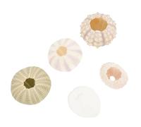 Cabilock 3 Series Decoraciones Marinas para Acuarios Accesorios De Paisajismo Subacuático Erizos De Mar Manualidades para Peces Mezclado 5 Piezas X 3