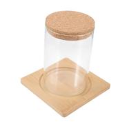 Cabilock Botella Ecológica De Musgo De para Plantas Macetero De Mesa De para Decoración De Oficina y Pequeño De Musgo Tapón