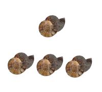 Cabilock Colgante De Caracola Modelos De Amonita Escultura De Amonita Ejemplar Científico Ejemplar Educativo De Amonita Collar Único Joyería Para Caracola 2 piezas x 4