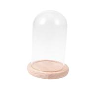 Cabilock cúpula de Cristal de Flores secas Campana Decorativa Cristal Transparente decoración Vegetal Vidrio Cubierta cúpula Flores Cubierta Mini