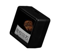 Cabilock Ejemplar De Meteorito De Olivo Decoraciones De Meteoritos Muestra Espécimen De Enseñanza En El Aula Meteorito Educativo Enseñanza De Espécimen De Meteorito Especímenes Piedra