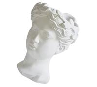 Cabilock Maceta Florero Cabeza Mujer Resina Estatuilla Decorativa Vintage para Oficina y Hogar Jarrón Creativo para Plantas Secas o Artificiales Adorno Elegante para Dormitorio y Sala