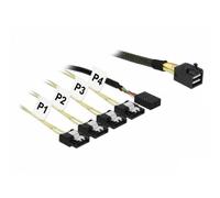 Cable Adaptador DeLOCK 85732 Mini SAS HD SFF-8643 a 4x SATA 6 Gb/s 1 m