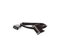 Cable adaptador DisplayPort 1.2 Classic AK-340301-010-S