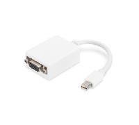 Cable adaptador DisplayPort mini DP - HD15 M/H 0 15 m compatible con DP 1.1a CE we AK-340407-001-W