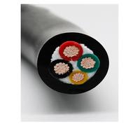 Cable con núcleo de cobre puro apantallado, Cable flexible de cobre TRVV for cadena de arrastre, núcleo 2-40, calibre 26-11 AWG, resistente al aceite, control de señal CNC(22 Awg 100 Meter,12)