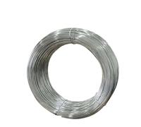 Cable De Acero Alambre de acero suave/duro inoxidable, alambre hierro for amarre un solo hilo(0.2mm (10M),Soft Steel Wire)