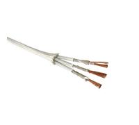 Cable de alta temperatura de 500 °, 2 núcleos, 3 núcleos, alambre trenzado de Mica resistente al calor, ignífugo, 0,5mm, 0,75mm, 1,0mm, 1,5mm, 2,5mm, 4,0mm, 1 ud.(3 core,13 AWG 2.5mm)