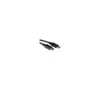 Cable de pantalla ROLINE - DisplayPort (M) - 5 m - negro