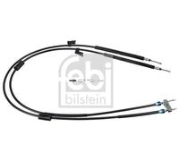 Cable del freno de mano Atrás izquierda 101801 FEBI BILSTEIN para FORD C-MAX