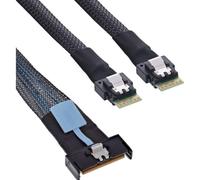 Cable InLine 27663A 0,5 m MCIO x8 a 2x 4i SFF-8654