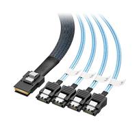 Cable Matters Mini SAS Interno a SATA Cable, 6Gbps, 1m