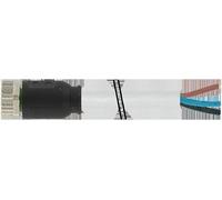 Cable sensor/actor MURR con conector - 7000-08061-2310500