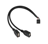 Cable USB 2.0 hembra de 30 cm y 10 pines para placa base (10 pines/2 AM)