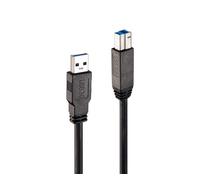 Lindy 43098 cable USB USB 3.2 Gen 1 (3.1 Gen 1) 10 m USB A USB B Negro