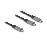 Cable USB-C DeLock 81271 1,2 m Y Power Delivery 100W Negro Gris