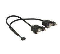DeLOCK 84832 Cable USB 2.0 Hembra/Hembra 25 cm - 2 x USB-A para Montaje Interno (0.48 Gbit/s, Negro, 10 Pines, 2.00 mm)
