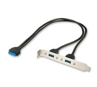 Cable USB Interno Lindy 33096 0,4 m USB 3.2 Gen 1