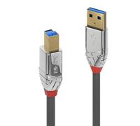 Cable USB Lindy 36662 2m USB 3.2 Gen 1 Conectores A-B Oro Gris Plug and Play