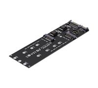Cablecc Oculink M-Key a NVMe PCIe SSD y adaptador NGFF a SATA para placa base