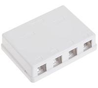 CableWholesale 4 Hole Blank Surface Mount Box for Keystone, White (300-3144E)