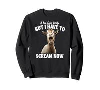 Cabra Divertida Ha Sido Encantador Pero Ahora Tengo Que Sudadera