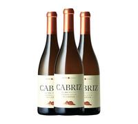 Cabriz Branco Encruzado Dão Reserva 75 cl Vino blanco (Caja de 3 Botellas de 75 cl)