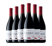 Cabriz Colheita Selecionada Tinto Dão 75 cl Vino tinto (Caja de 6 Botellas de 75 cl)