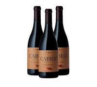 Cabriz Touriga Nacional - Vino Tinto - Paquete de 24