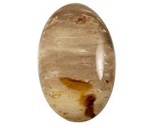 Cabujón ovalado de ágata de raíz de palma, piedra preciosa natural suelta, 30 unidades, Qy78-B09HMSWWDN