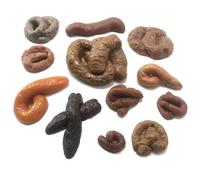 Caca Falsa 12 Piezas Favores de Halloween Realistas y Graciosos | Juguetes de Broma Engañosos Excremento Falso Para s Festivas, Baño, Hogar, Pasillo, Inodoro, Sábanas, Aseo