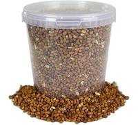 Cacahuetes Enteros BusyBeaks: alimento de Alta energía Premium para Aves Silvestres de jardín en recipientes (10L)