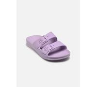 Cacatoès Belo Horizonte K 31 - 32 Violeta