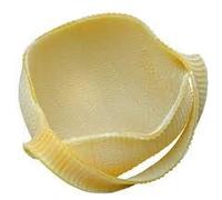 Caccavella Gragnano 36 Monoportions