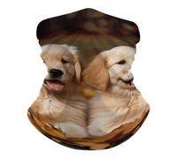 Cache-cou de pêche UPF 50+, cagoule respirante, demi-masque, écharpe de ski à séchage rapide, coupe-vent, idéal pour les chiens Golden Retriever, chiots et autres animaux de compagnie, protection sola