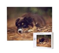 Cachorro Border Collie Bokeh Marrón Border Collie,Rompecabezas de Madera de 500 Piezas, Juego Familiar, Rompecabezas para Adultos, Adolescentes, decoración del hogar