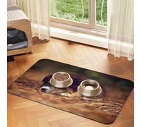 Cachorro Border Collie Bokeh Marrón Border Collie,Tapete para Comida de Mascotas, manteles Individuales de Cuero sintético para Gatos y Perros,30x45cm