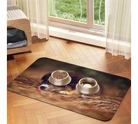 Cachorro Border Collie Bokeh Marrón Border Collie,Tapete para Comida de Mascotas, manteles Individuales de Cuero sintético para Gatos y Perros,30x45cm