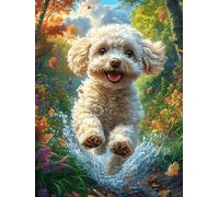 Cachorro de Bichón Frisé chapoteando en el Agua Rompecabezas 300 Piezas Cartón para Adultos Y Adolescentes para Coleccionistas Decoración Única Hogar Antiestrés Regalo Reyes Magos 300 PCS