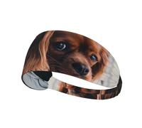 Cachorro de Cavalier King Charles Spaniel Ruby,Banda Deportiva para el Sudor Unisex, Multiusos, elástica para el Pelo