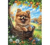 Cachorro de Chihuahua en una Cesta Puzzles 300 Piezas Desafío Nivel Difícil Cuento de Hadas acompañante mágico Rompecabezas para Adultos Aliviar Estrés Decoración Hogar DIY Moderno Portátil 300 PCS