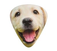 Cachorro de labrador retriever,12 púas de guitarra, 3 grosores diferentes para guitarra acústica, bajo y ukelele