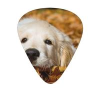 Cachorro de perro perezoso impreso,12 púas de guitarra, 3 grosores diferentes para guitarra acústica, bajo y ukelele